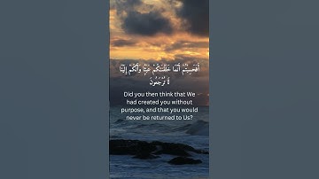 سورة المؤمنون - Surah Al-Muminun [ 115 : 116 ]