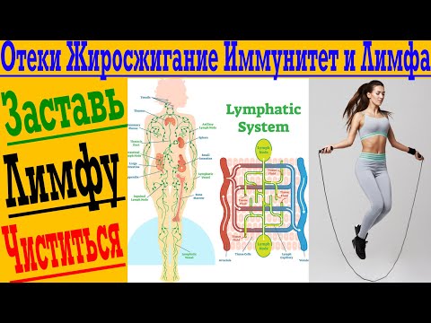 Отеки, Лимфа, Жиросжигание