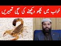 Khwab mein bichoo dekhna kaisa hai  scorpion dream meaning  khwab mein bichoo ka katna