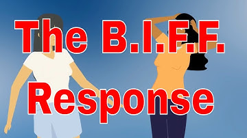 "Mastering High-Conflict Communication: The BIFF Response® Method in Child Custody Battles"