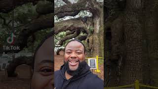 Charleston, SC History Tour