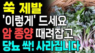 쑥 이렇게 먹으면 암예방 당뇨 싹! 사라집니다. 보약되는 음식3가지와 독이 되는 음식3가지! 쑥 다양한 요리법. 치매 음식. 당뇨 음식. 암 예방 음식.