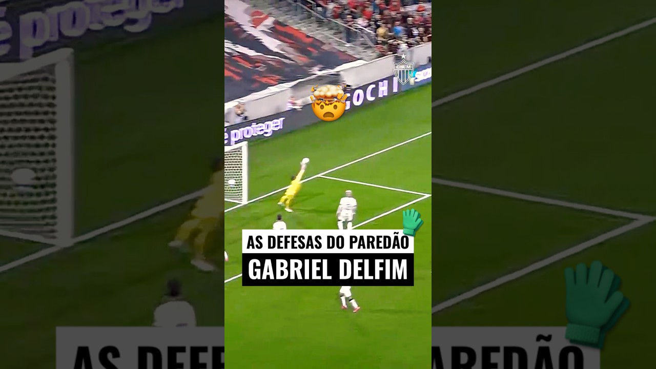 SHOW de DEFESAS do DELFIM ⚔️