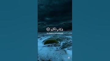 تلاوة مباركة #ياسر_الدوسري #اكسبلور #المصحف #duet #yasseraldossary #الرحمن #دويتو #راحة_نفسية