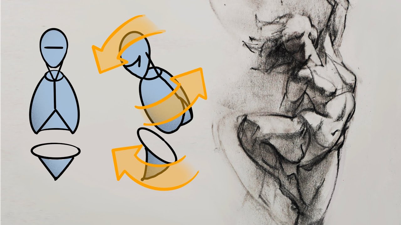 Human Anatomy Fundamentals: Basic Body Proportions – Design & Illustration  – Tuts+ | Human anatomy drawing, Human body drawing, Body drawing tutorial