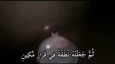 الآيات 12.13.14 من سورة المؤمنون