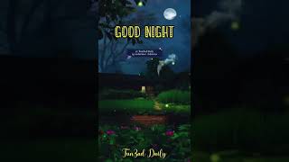🌝 Best Good night status video| Full screen whatsapp status| 4k status full screen| #goodnight wish screenshot 5