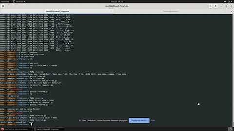 Linux Hacking: ROT13, Hexdump, SSH Private Keys | Bandit: OverTheWire (Levels 11-13)