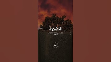 سورة الشعراء ،🎙️احمد العجمي