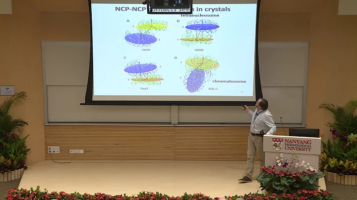 2018 - Polyelectrolytes Workshop: Nikolay Korolev