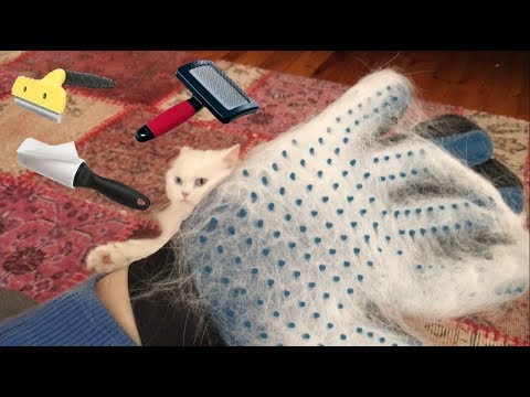 Kedi Tuyu Temizleme Cleaning Cat Hair Youtube