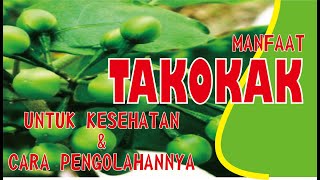 Manfaat Takokak Untuk Kesehatan Dan Cara Penahannya