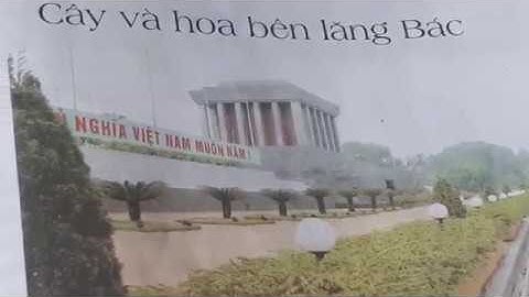 Tiếng Việt lớp 2 - Tập đọc - Cây và hoa bên lăng Bác /Bé học Bé chơi - Kitty vblog