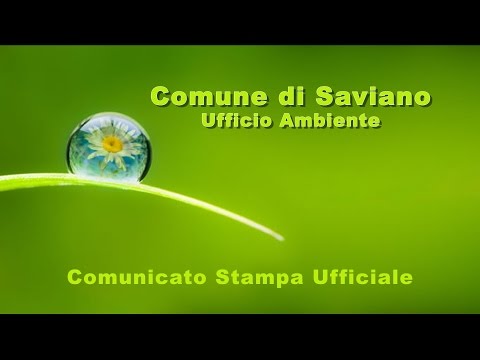 Video: Comunicato Stampa Dolore