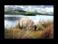 Barleyjuice - Connemara Ground (music video)