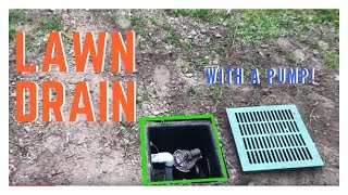 Lawn Drain with Pump