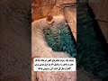 اگر آب زمزم رو قبول داری مشترک کن و کامنت بزار یا الله اگر آب زمزم رو قبول داری مشترک کن و کامنت بزار یا الله