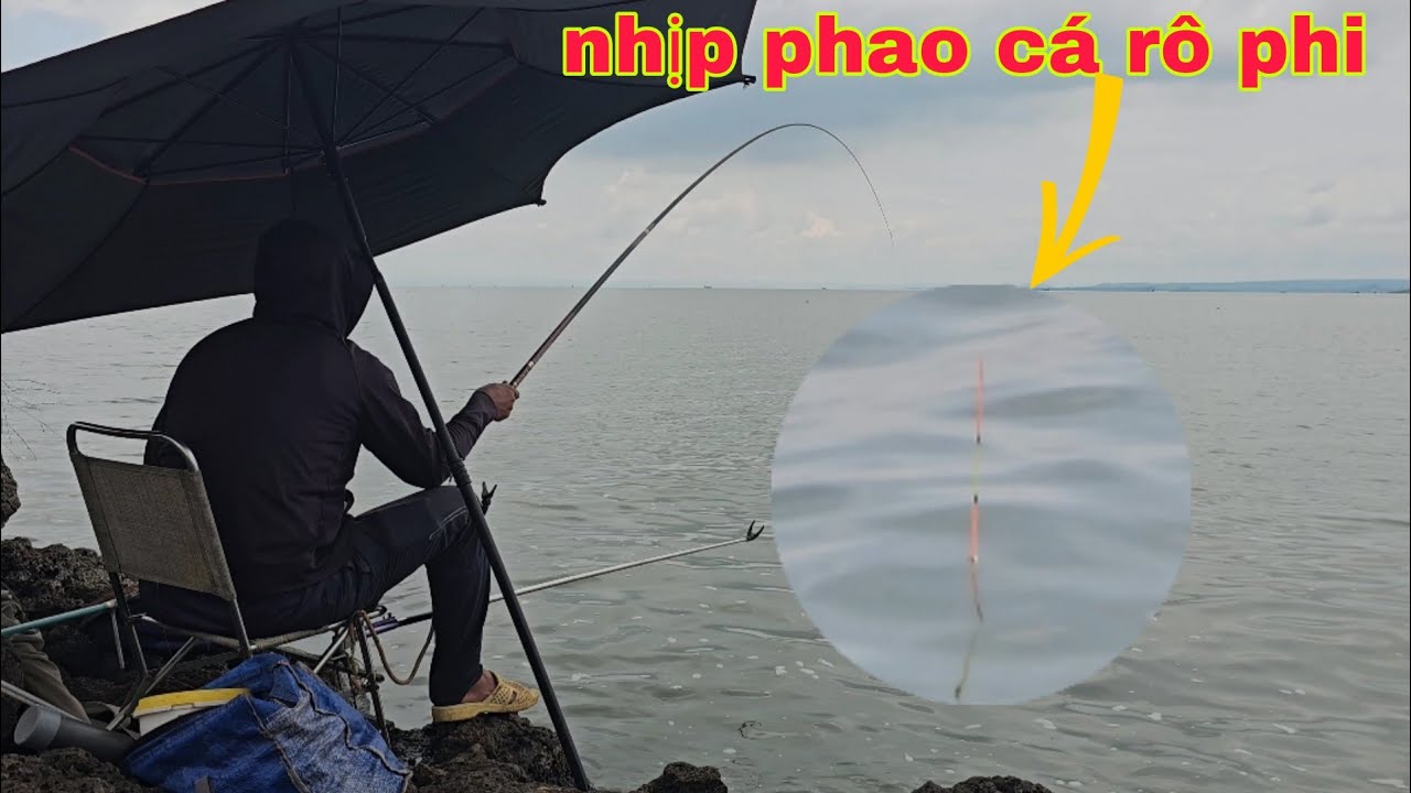 Câu đài tự nhiên đụng bầy cá rô phi to vào cuốn ổ nhịp phao liên tục giật mỏi tay | câu cá tự nhiên