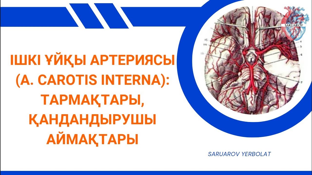 Орыс күйеуінің пиздасын жалауы Куннилингус ағынындағы кончалар