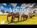 Amazing wildlife of africa in 4k   scenic relaxation film with calming music   4k ultra