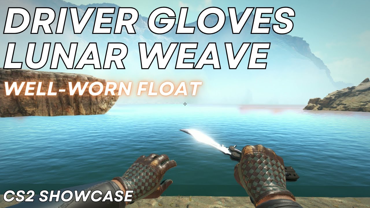 Driver Gloves Lunar Weave (Well-Worn) | CS2 Skin Showcase 