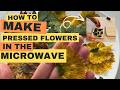How to press flowers in the microwave