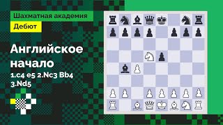 Английское начало #3: Классическая система: 1.c4 e5 2.Nc3 Bb4 3.Nd5 // Дебют