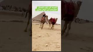 #فسحه داخل اهرامات الجيزة