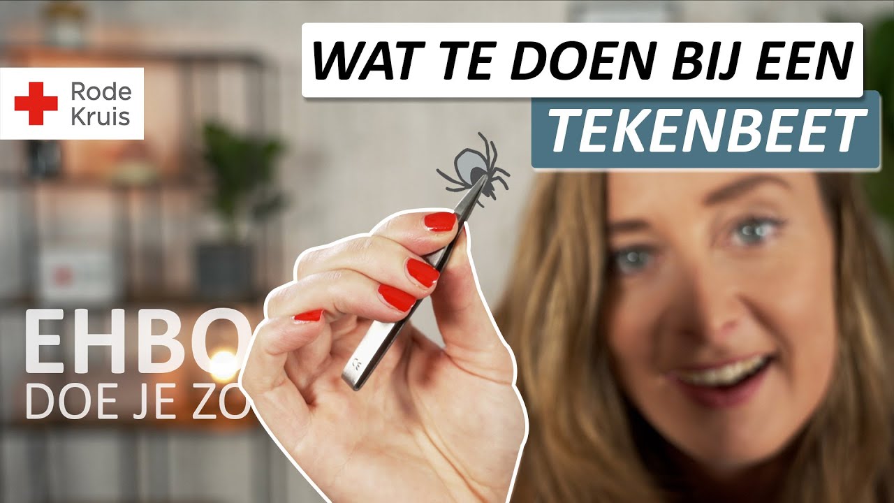 Hoe verwijder je een teek? | EHBO Doe Je Zo - Rode Kruis