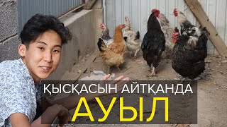 Қысқасын айтқанда, Ауыл