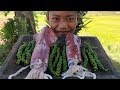 Delicious Cooking Big Squid With Young Green Pepper