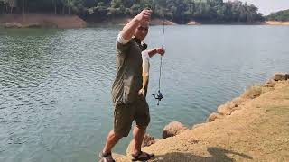 Hampala fish from Shing mun reservoir. #hampala #hongkong