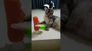 one,two,three #meongmeong #kucinglucu #kucing #yuyu