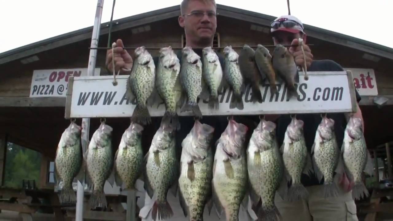 ACTION FISHING On Lake Greeson Ark Music Kevin MacLeod YouTube