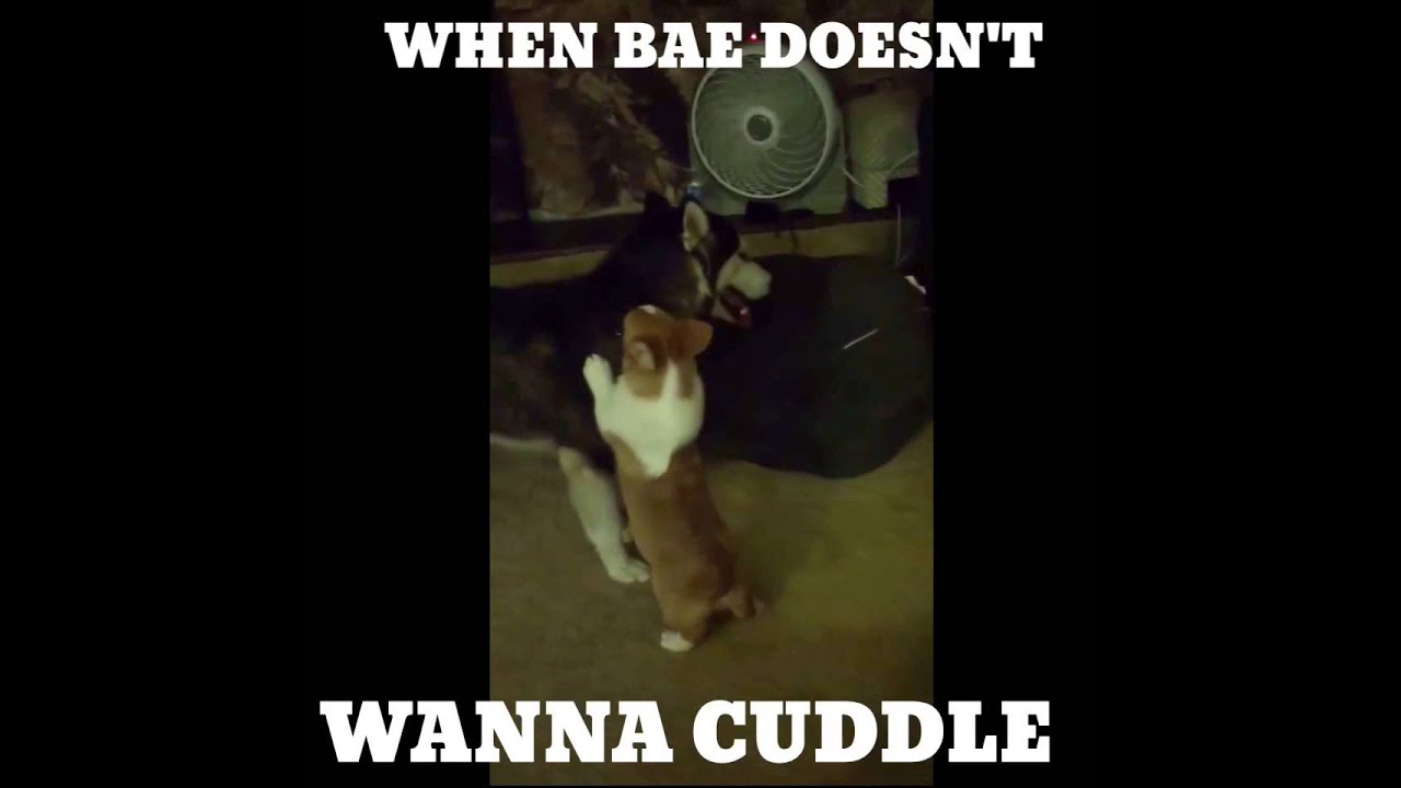 Avoir Images When Bae Doesn T Wanna Cuddle Youtube le plus cool salutations