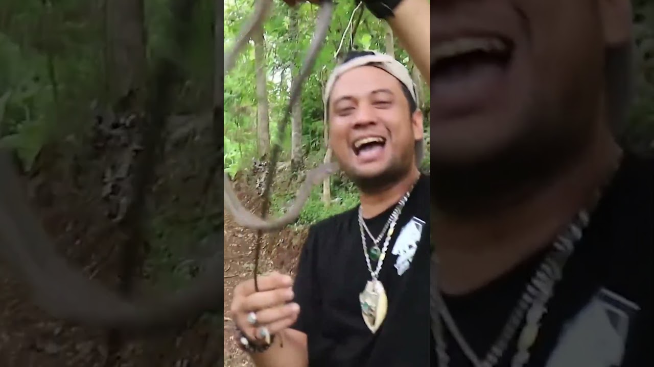 PANJI DIGIGIT ULAR KOROS SAMPE BERD4RAH !!