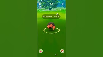 Pokémon Go: Shiny Dwebble
