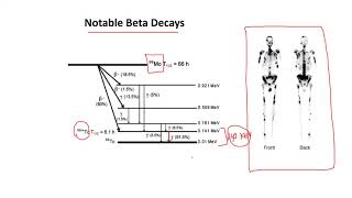 Part 1: Basics of Radiation Physics | Radioactive Decay in the perspective of NM