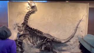 DinoSaur National Monument Area, Summer 2024 - Utah / Colorado