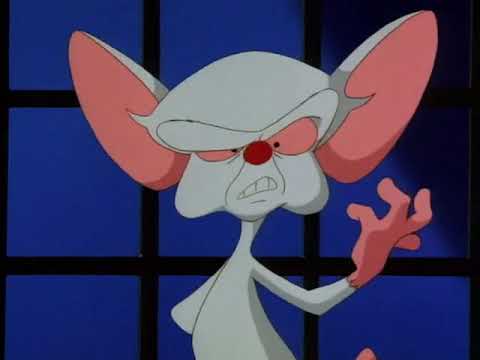 download pinky animaniacs