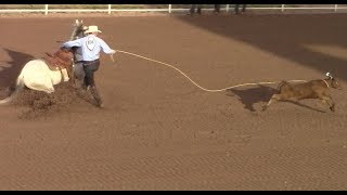 Calf Roping - Cheyenne Rodeo - July 20, 2017 - 2nd Go Round - Part 1