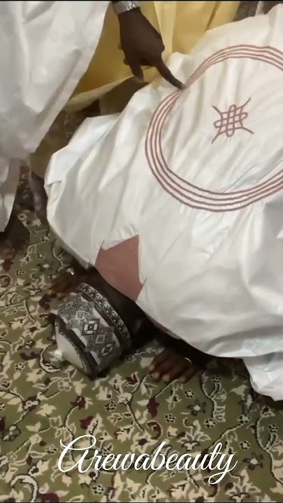 Uy qurgan mushuklarning yaqindan suratlari