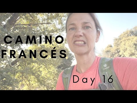 A Day of Mistakes: Day 16 on the Camino Francés, Sahagún to Reliegos, 32km