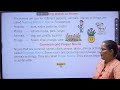 ENGLISH GRAMMAR 2 CHAPTER 3
