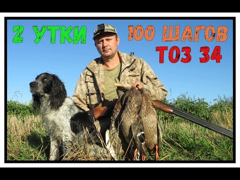 ОХОТА на утку.  Выстрел из ТОЗ 34  на 100 шагов-упали ДВЕ УТКИ!!