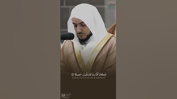 مِن أول فجريَّة للشيخ د.الوليد الشمسان رتّـل سورة النساء بـ‏تلاوة إبداعيّة تفوق الوصف تبارك الله!🤎