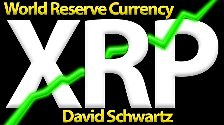 XRP World Reserve Currency With David Schwartz | Wealthy Cryptocurrency Investors