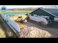 Feeding dairy cows with an automatic feeding system