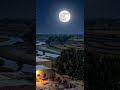 #calmworldshots #calmvibes#peaceful #naturevibes #relaxing #cinematic #villagevibes #shorts #scenery