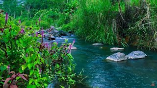 Binaural River Sounds (12H) for Meditation, Study, Relaxation & Anxiety Relief